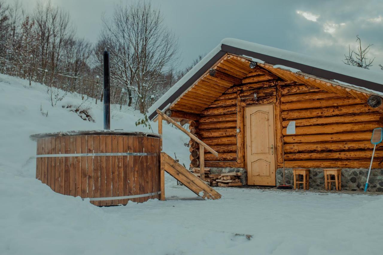 Hotel Conacul Drahneilor Ruscova Exterior foto
